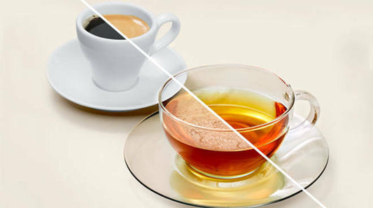 Brita filter Maxtra+ drinkwater kannen Aluna Liquelli Marella Style Fun enz.