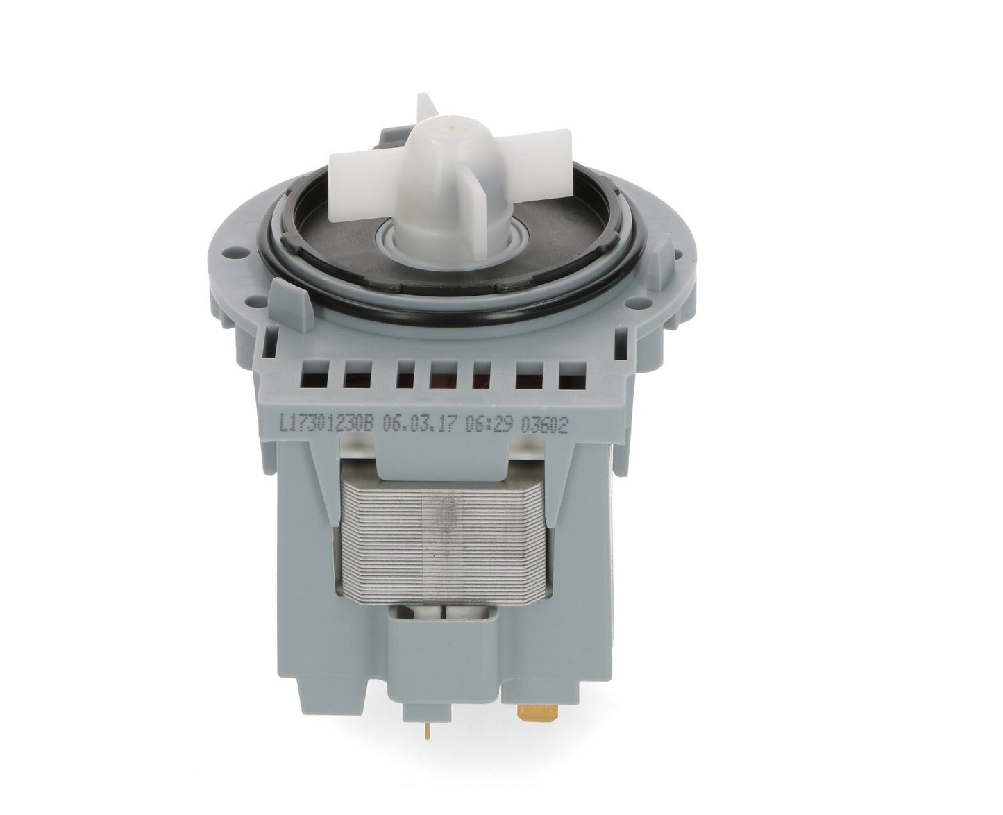 Askoll Pompe Échappement M231XP 40W Machine à Laver Candy Hoover Electro Remous