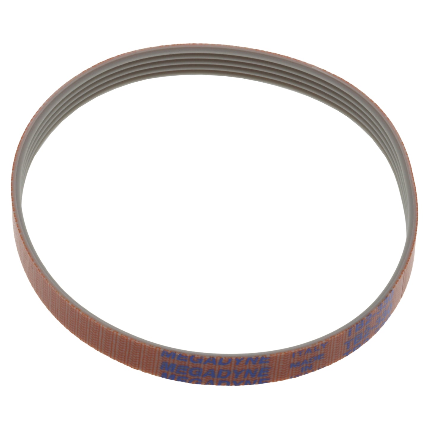 RGV Transmission Strap Megadyne TB2-330 Slice Louxor 200 220