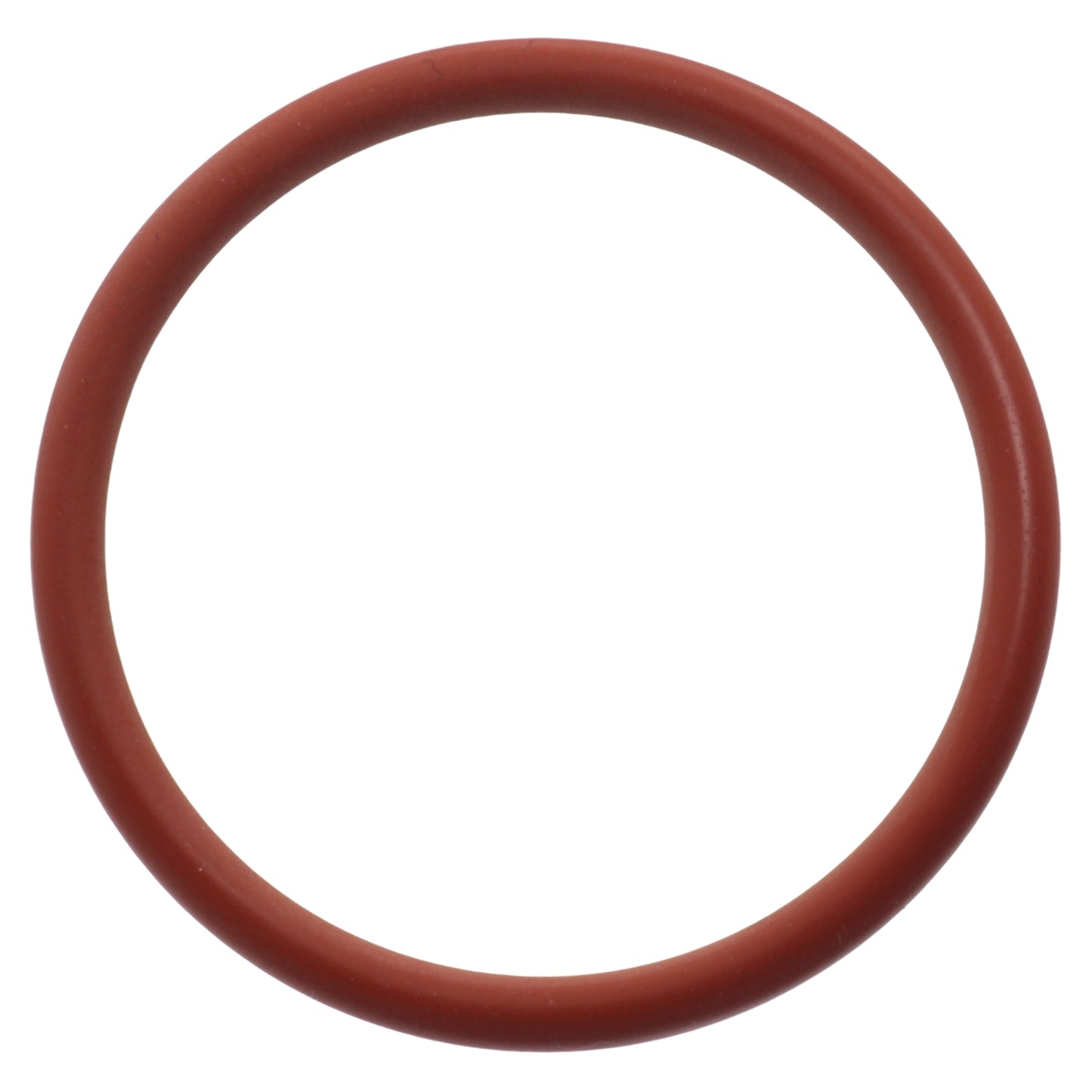 Reber guarnizione anello asse perno passapomodoro n.5 9004 9501 9601 9602 9603