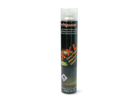 Frigostar igienizzante bombola spray detergente profumato condizionatore 750ml