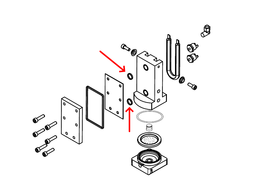 Didiesse guarnizione OR Oring caldaia 14.2mm macchina caffè cialde Frog Vapor