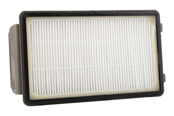 Rowenta filtro aria HEPA scopa Powerline Extreme RH8133 RH8147 RH8155 RH8165