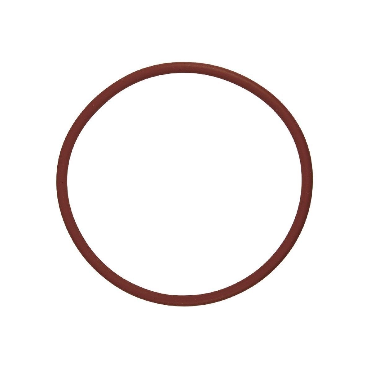 Gaggia Saeco Gasket 73mm Boiler Coffee Machine Venice Poemia Gran Cubika