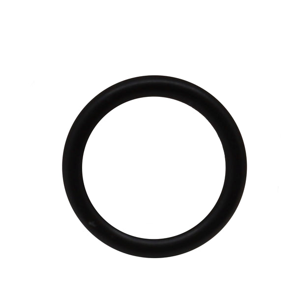 Philips Saeco Gaggia guarnizione pistone diffusore macchina caffè Intelia Brera