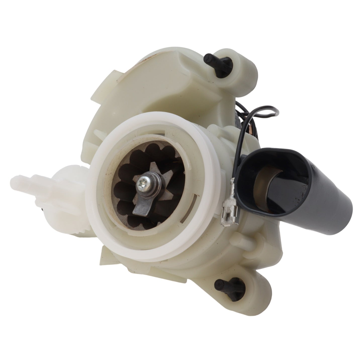 Delonghi macinino macina 230V macchina caffè Magnifica Evo ECAM290 292 NOTE!