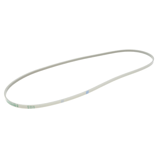 Electrolux Rex Zanussi cinghia 124021100 56cm lavatrice AL5 BL5 EW5 FA4 FLS RL5