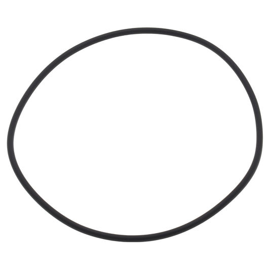 Didiesse guarnizione anello OR termoblocco vapore macchina caffè Frog Revolution Vapor