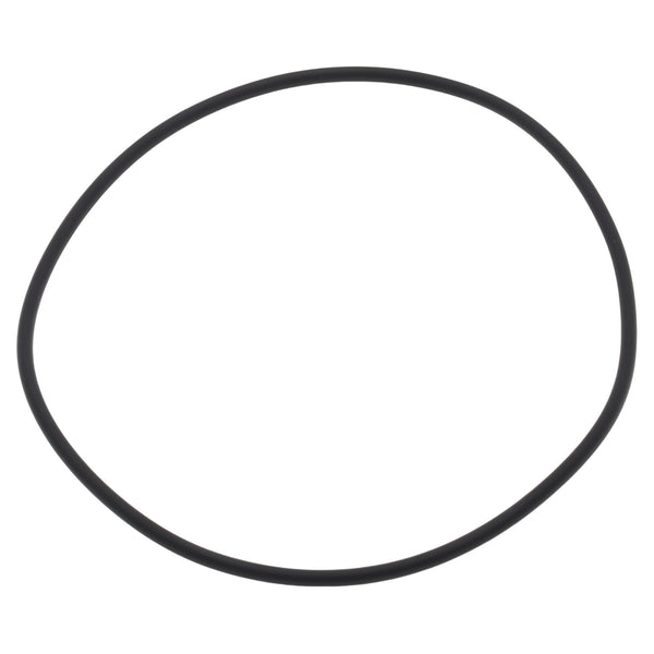 Didiesse guarnizione anello OR termoblocco vapore macchina caffè Frog Revolution Vapor