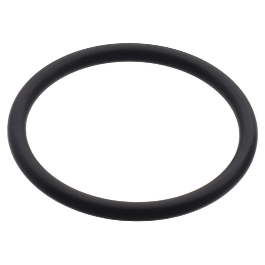 La Pavoni guarnizione OR tappo caldaia macchina caffè Esperto Europiccola Professional