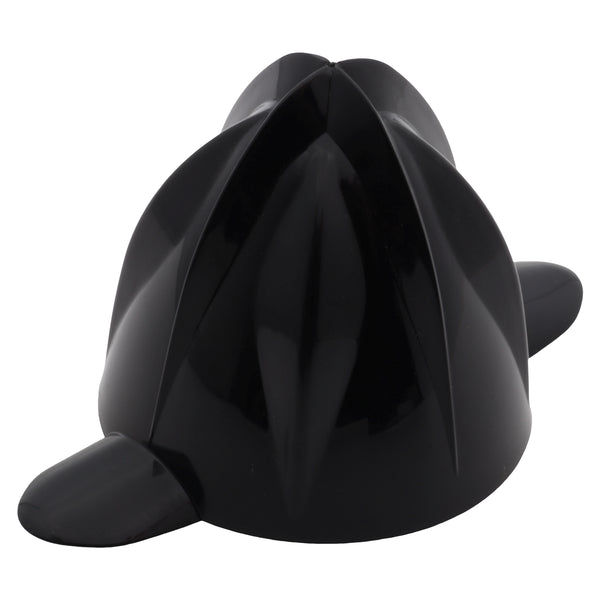 Moulinex Tefal kegel kogel citruspers Vitapress 600 1000 PC3028 ZP3008 PC302